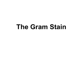 Gram staining lab report