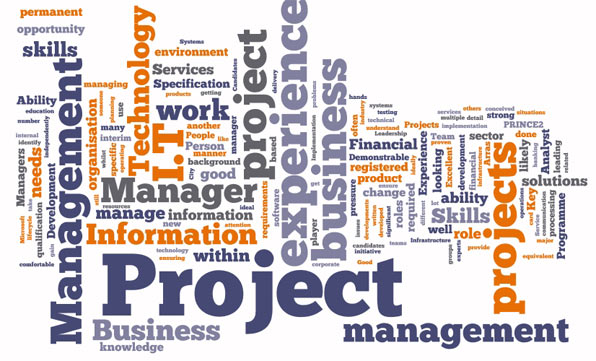 Systems project management