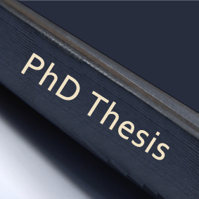 Thesis of phd